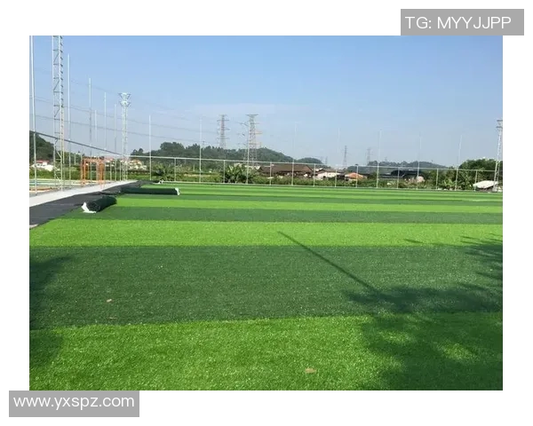 足球人工草的优势与应用探索助力运动场地建设与维护