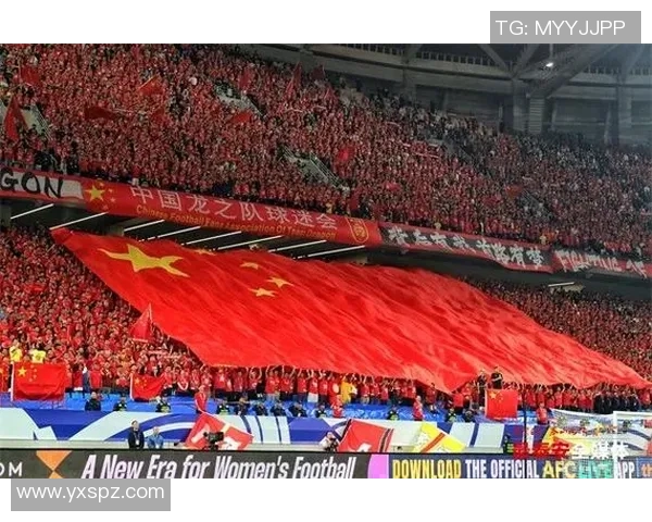 青岛足球崛起之路探秘球迷热情与城市文化的完美融合